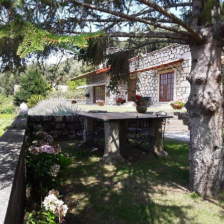 Casa De Crespins Casa De Campo Lda Cristelo  エクステリア 写真