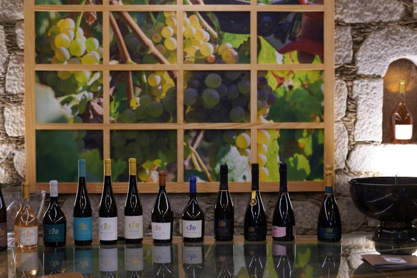 Casa De Crespins Casa De Campo Lda Cristelo  エクステリア 写真